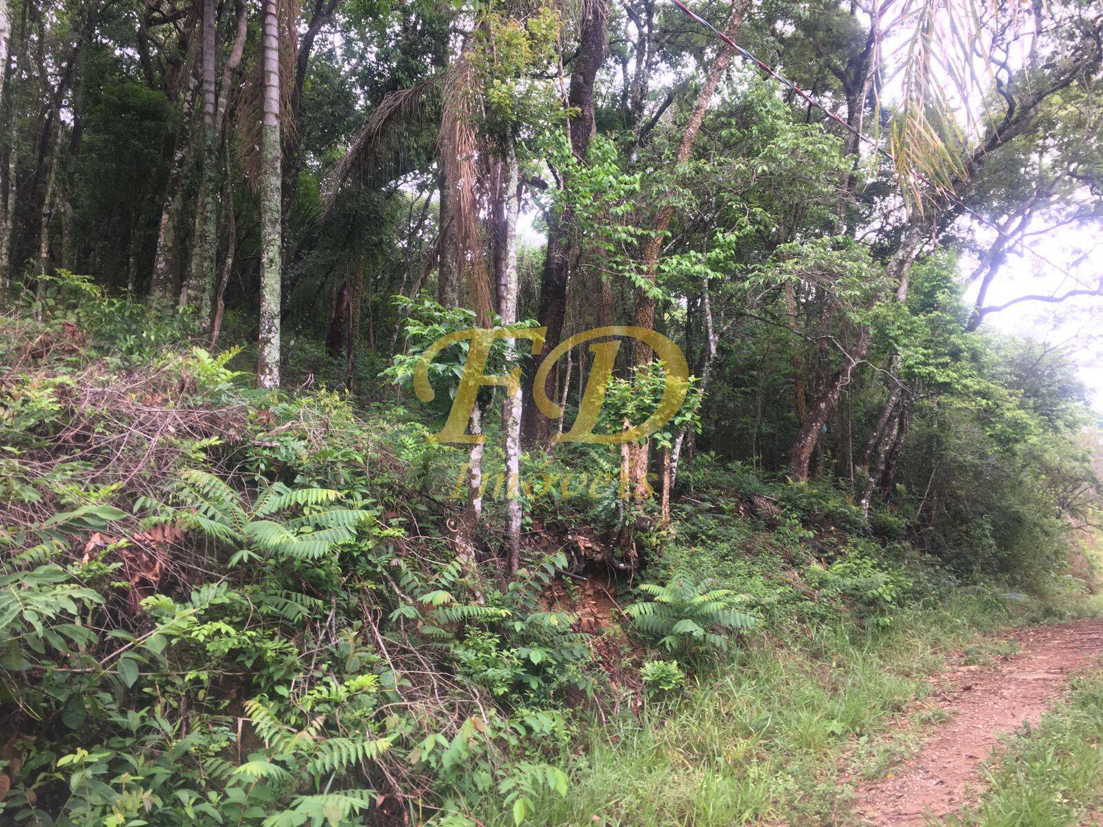 Terreno à venda, 2000m² - Foto 4