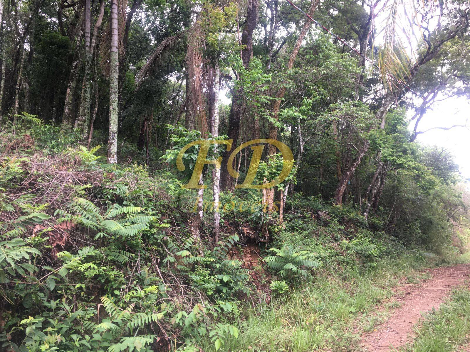 Terreno à venda, 2000m² - Foto 3