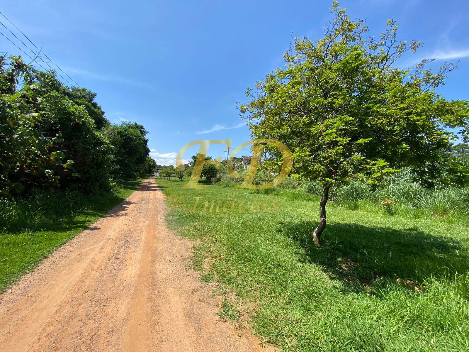 Fazenda à venda com 3 quartos, 3000m² - Foto 8