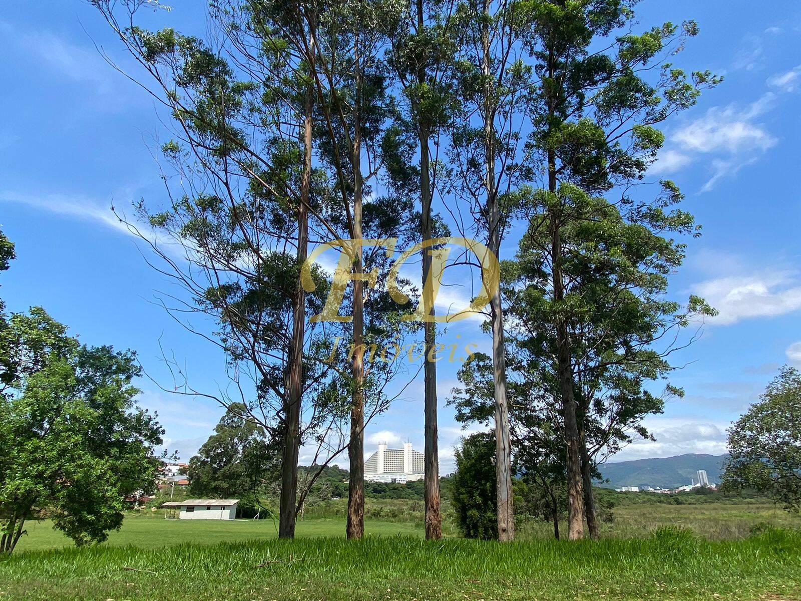 Fazenda à venda com 3 quartos, 3000m² - Foto 10