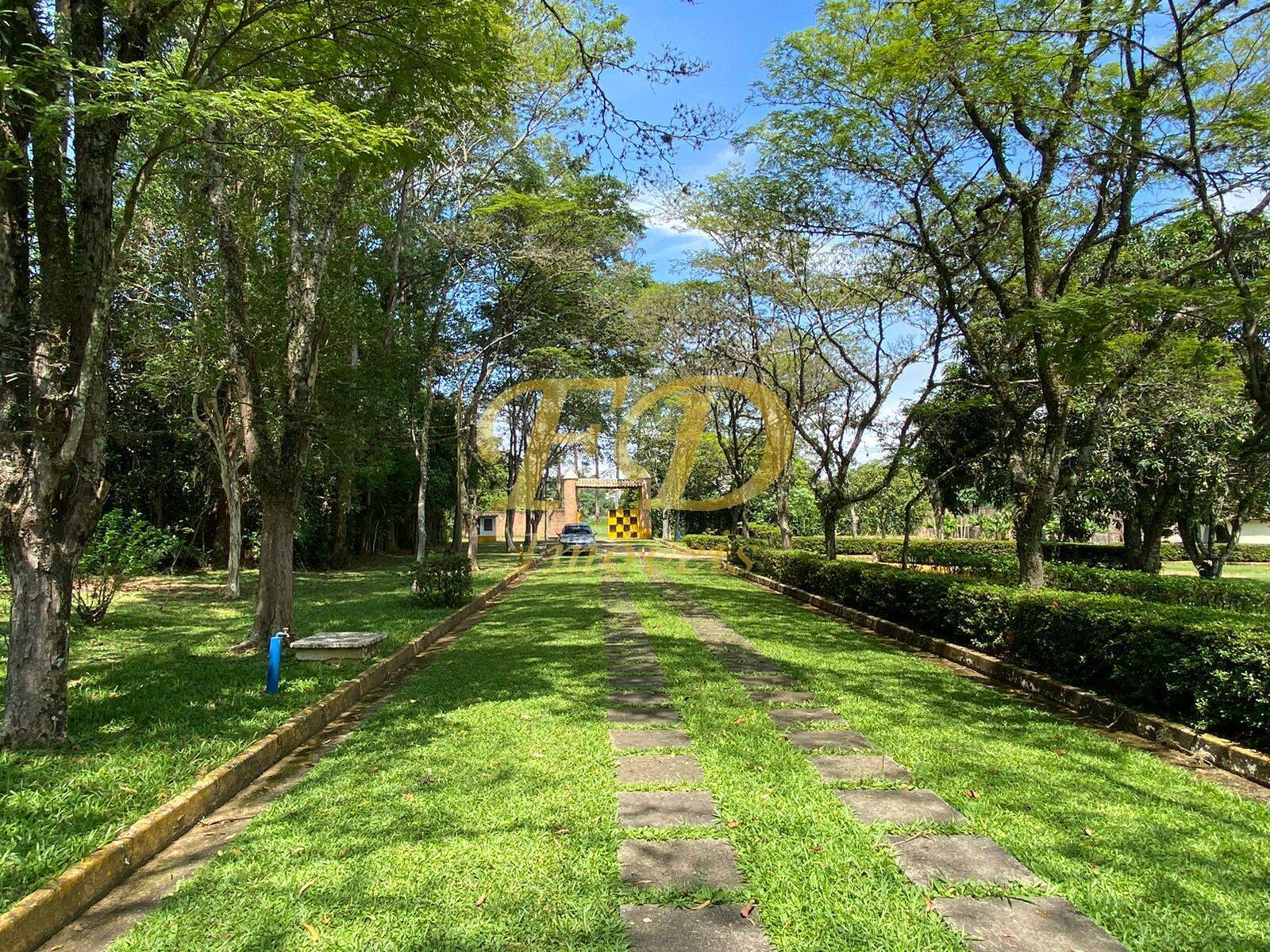 Fazenda à venda com 3 quartos, 3000m² - Foto 12