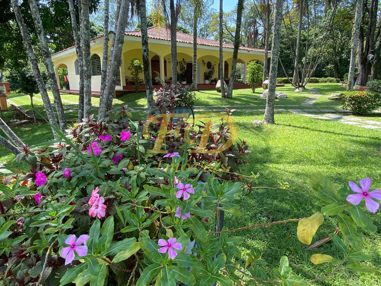 Fazenda à venda com 3 quartos, 3000m² - Foto 2