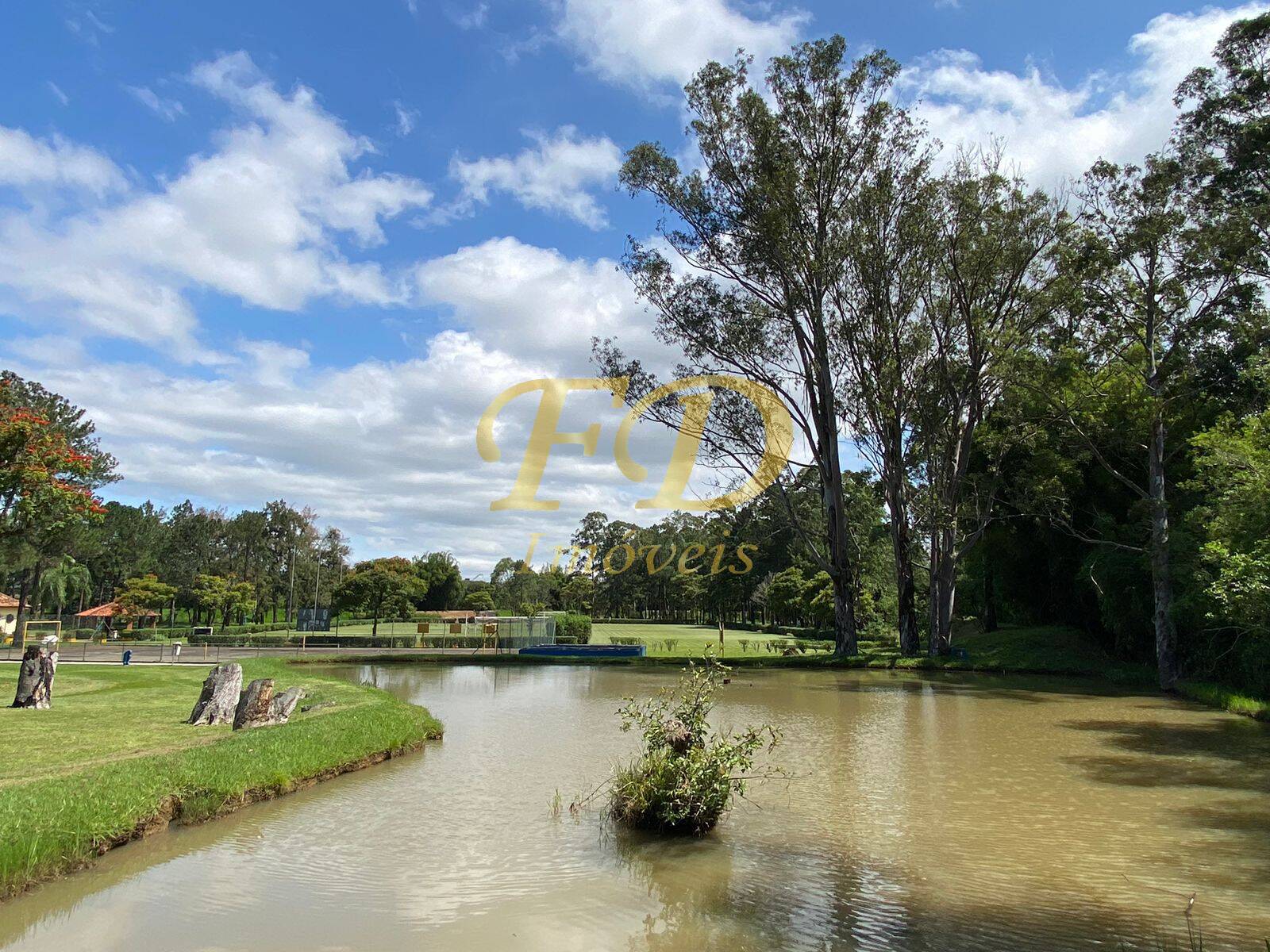 Fazenda à venda com 3 quartos, 3000m² - Foto 28