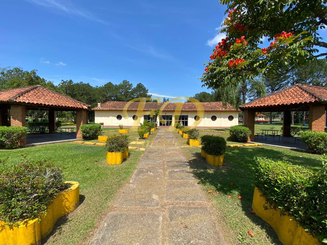 Fazenda à venda com 3 quartos, 3000m² - Foto 1