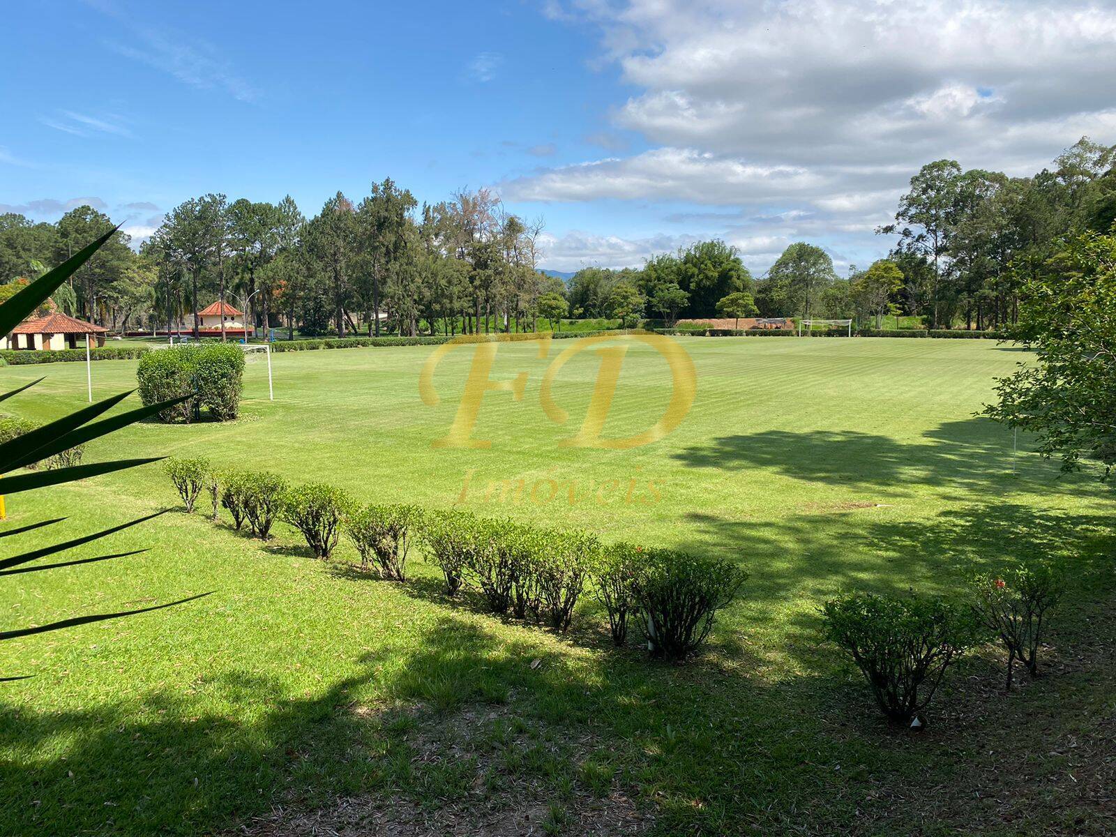 Fazenda à venda com 3 quartos, 3000m² - Foto 35