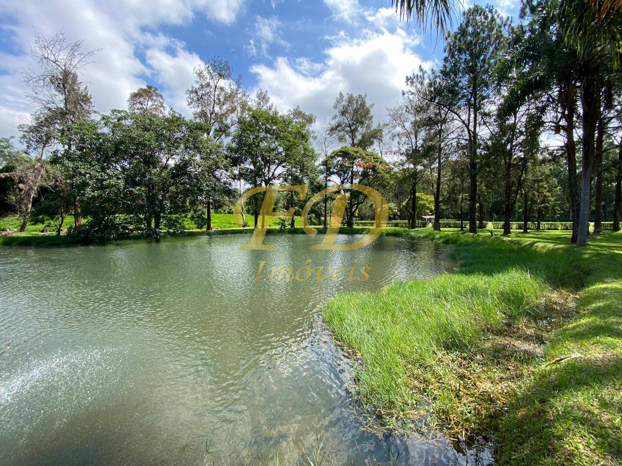 Fazenda à venda com 3 quartos, 3000m² - Foto 39