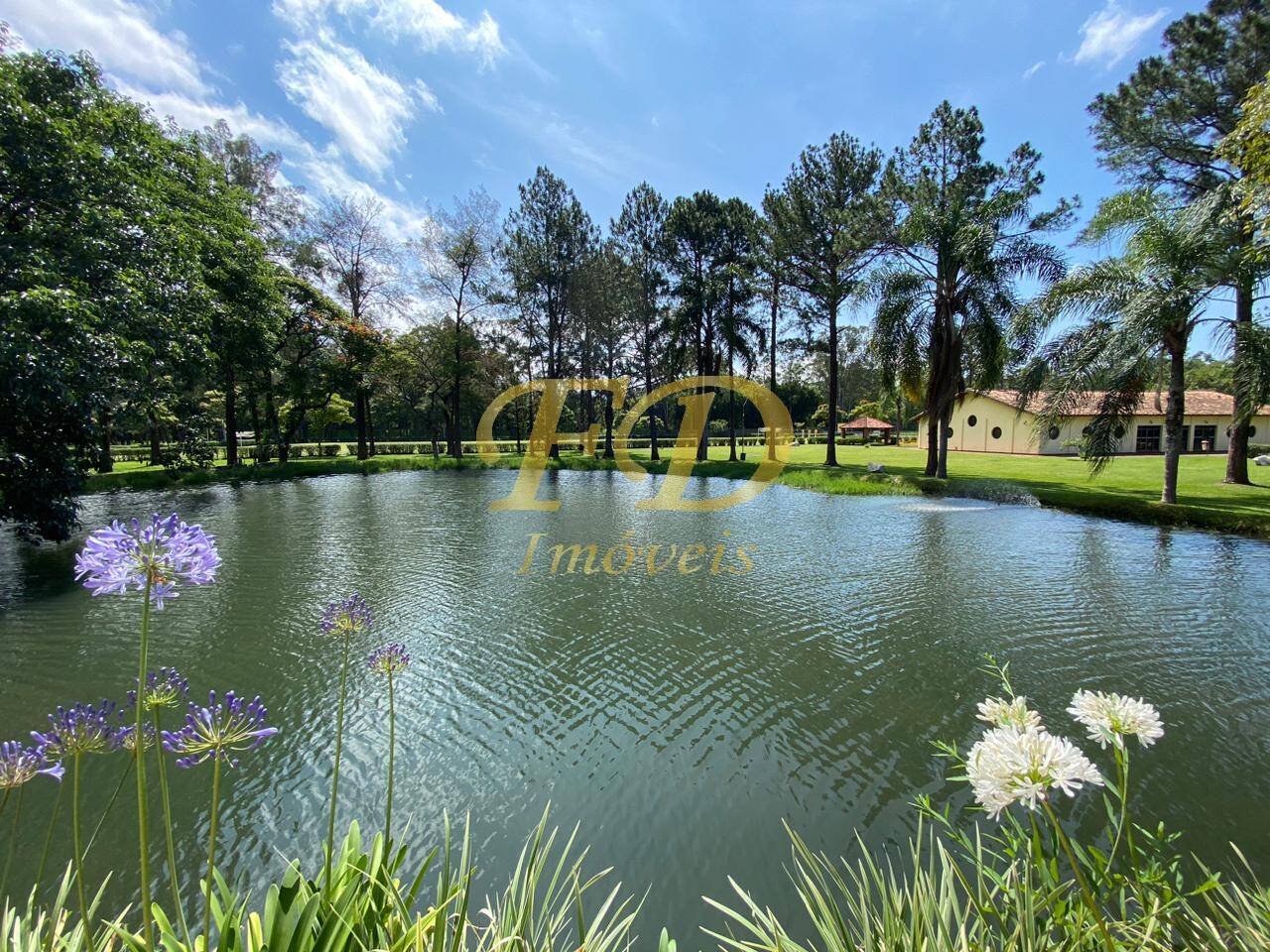 Fazenda à venda com 3 quartos, 3000m² - Foto 41