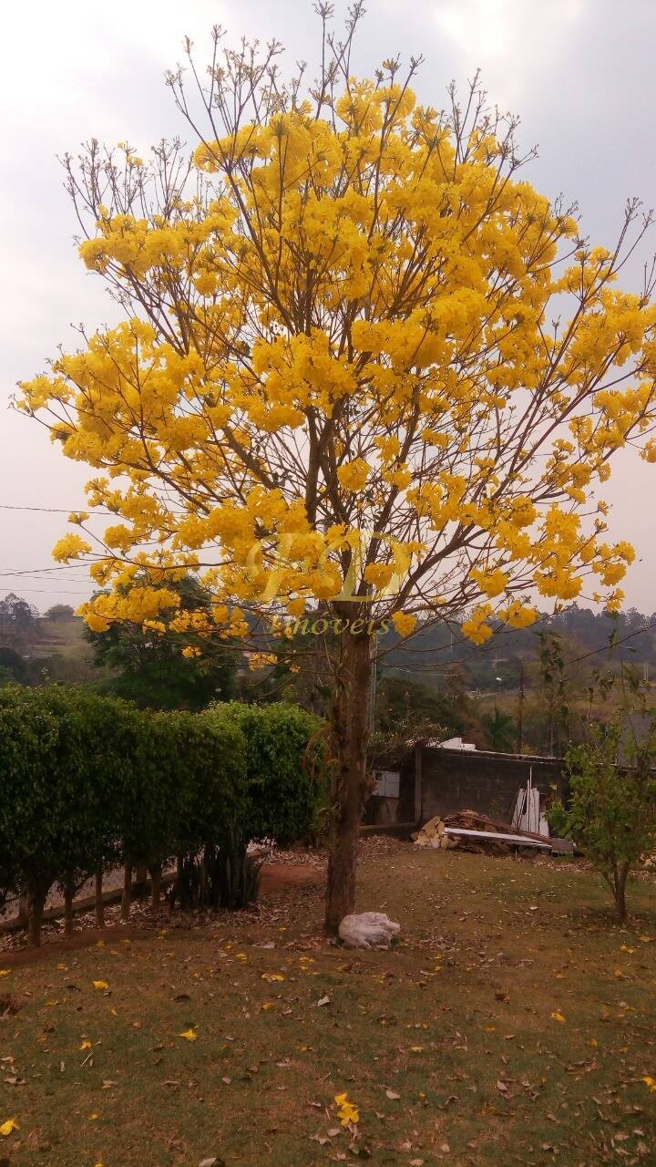 Fazenda à venda com 4 quartos, 270m² - Foto 16