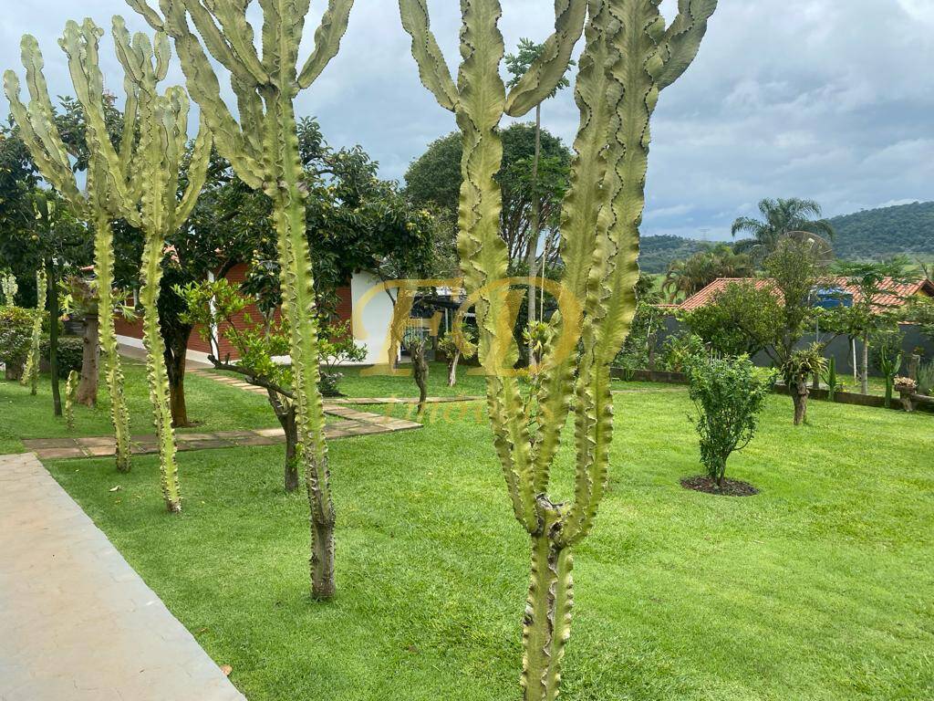 Fazenda à venda com 4 quartos, 650m² - Foto 23