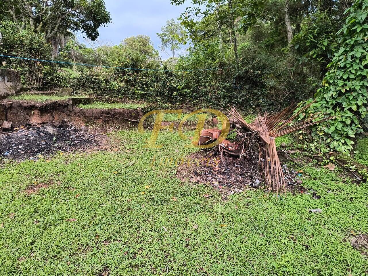 Fazenda à venda com 3 quartos, 1100m² - Foto 3