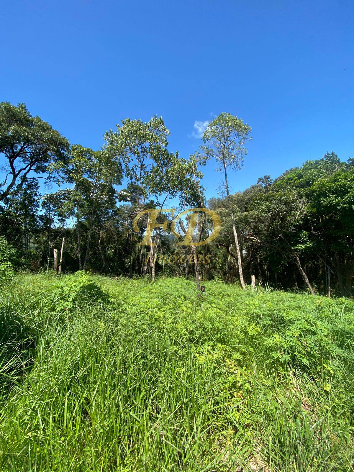 Terreno à venda, 1000m² - Foto 1