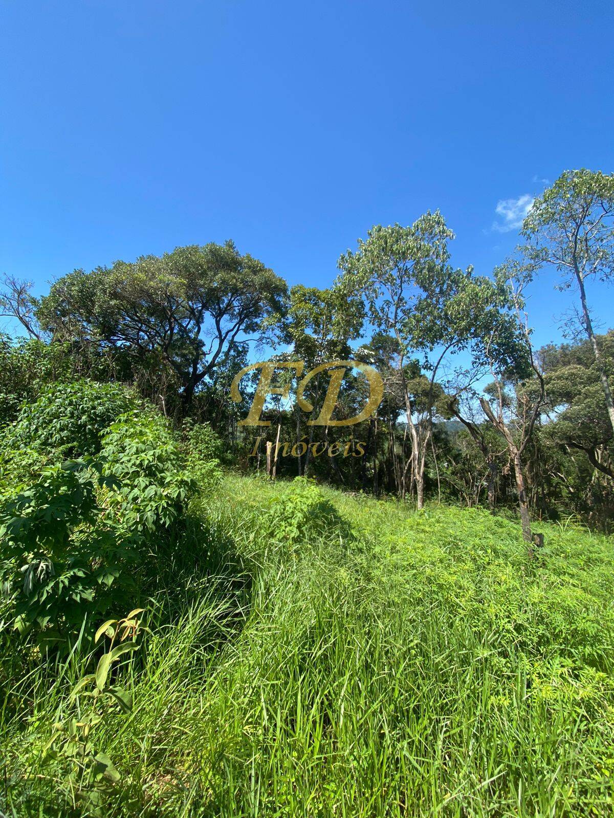 Terreno à venda, 1000m² - Foto 2