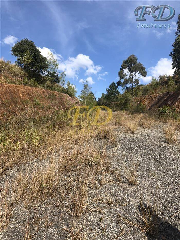 Terreno à venda, 61000m² - Foto 5