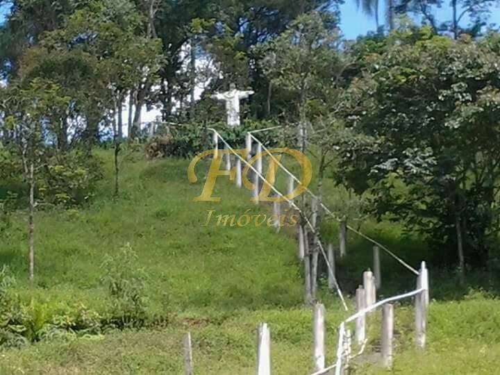 Fazenda à venda com 4 quartos, 32000m² - Foto 31