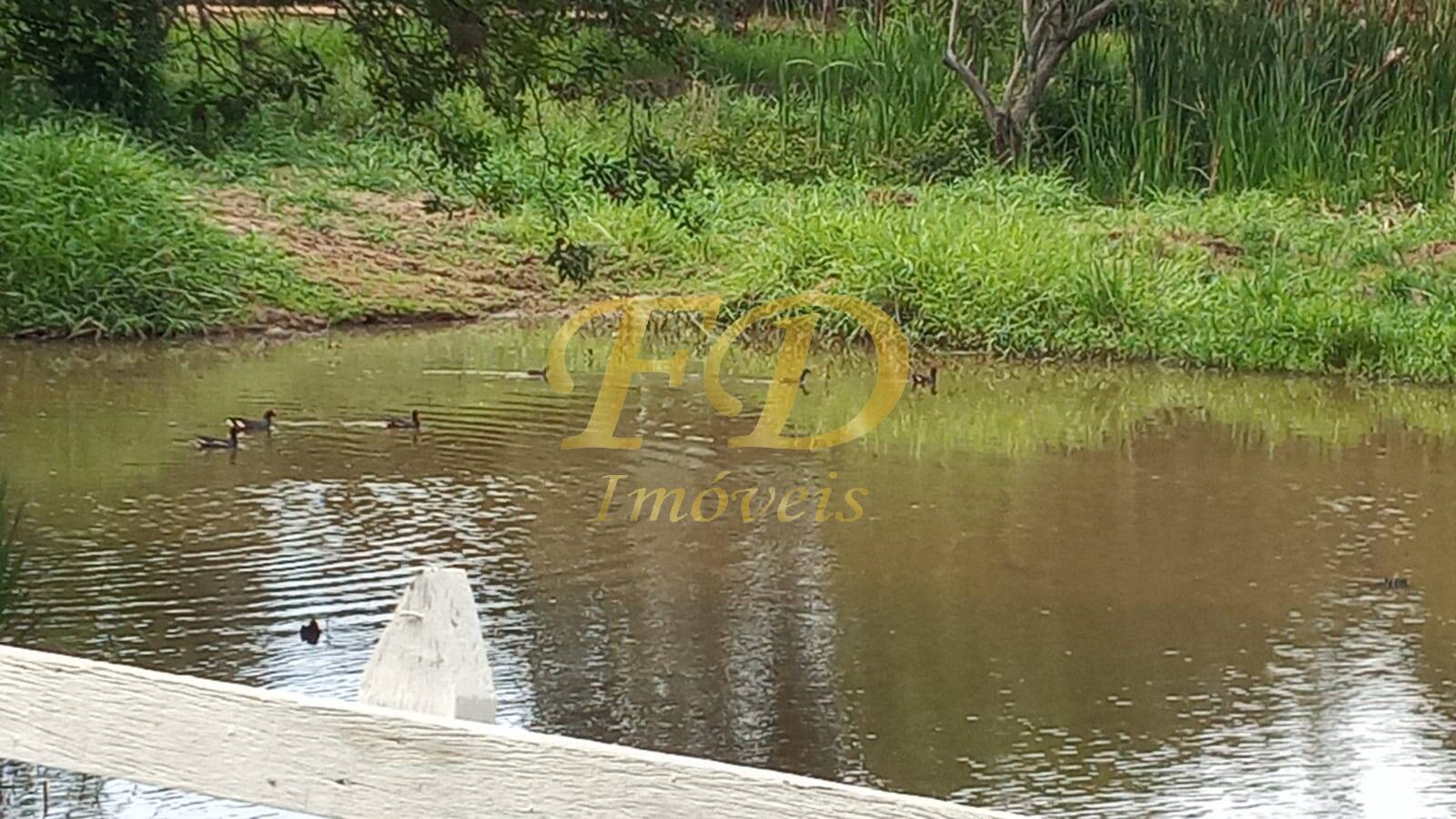 Fazenda à venda com 4 quartos, 360m² - Foto 3