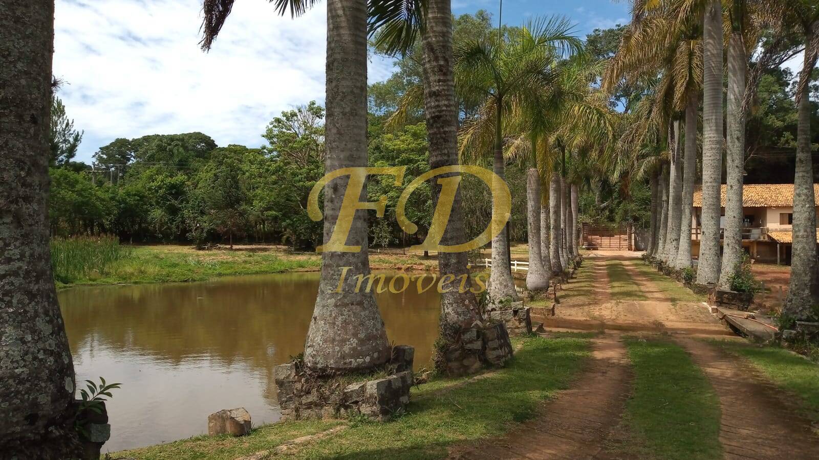 Fazenda à venda com 4 quartos, 360m² - Foto 2