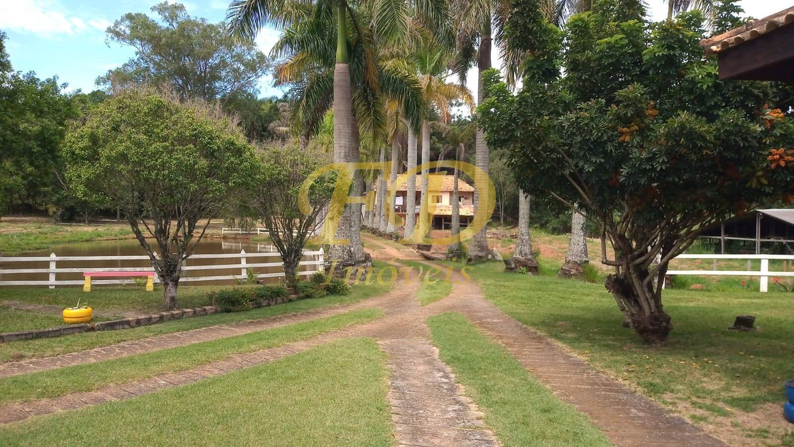 Fazenda à venda com 4 quartos, 360m² - Foto 6