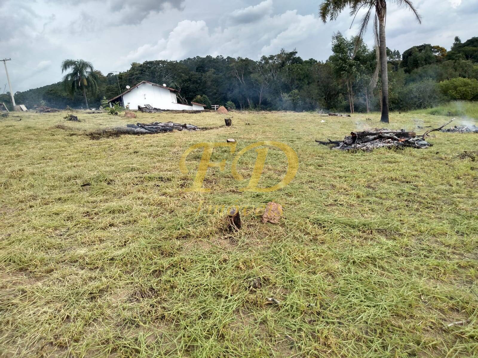 Fazenda à venda com 6 quartos, 800m² - Foto 2