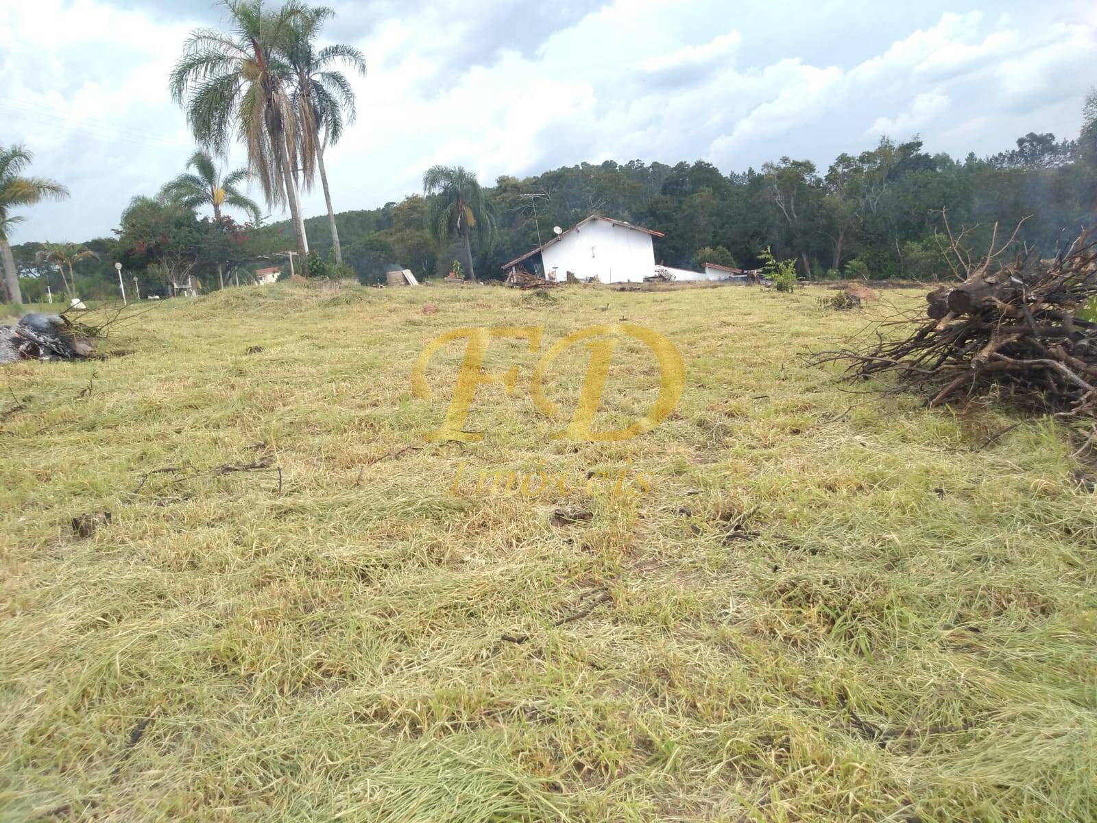 Fazenda à venda com 6 quartos, 800m² - Foto 3