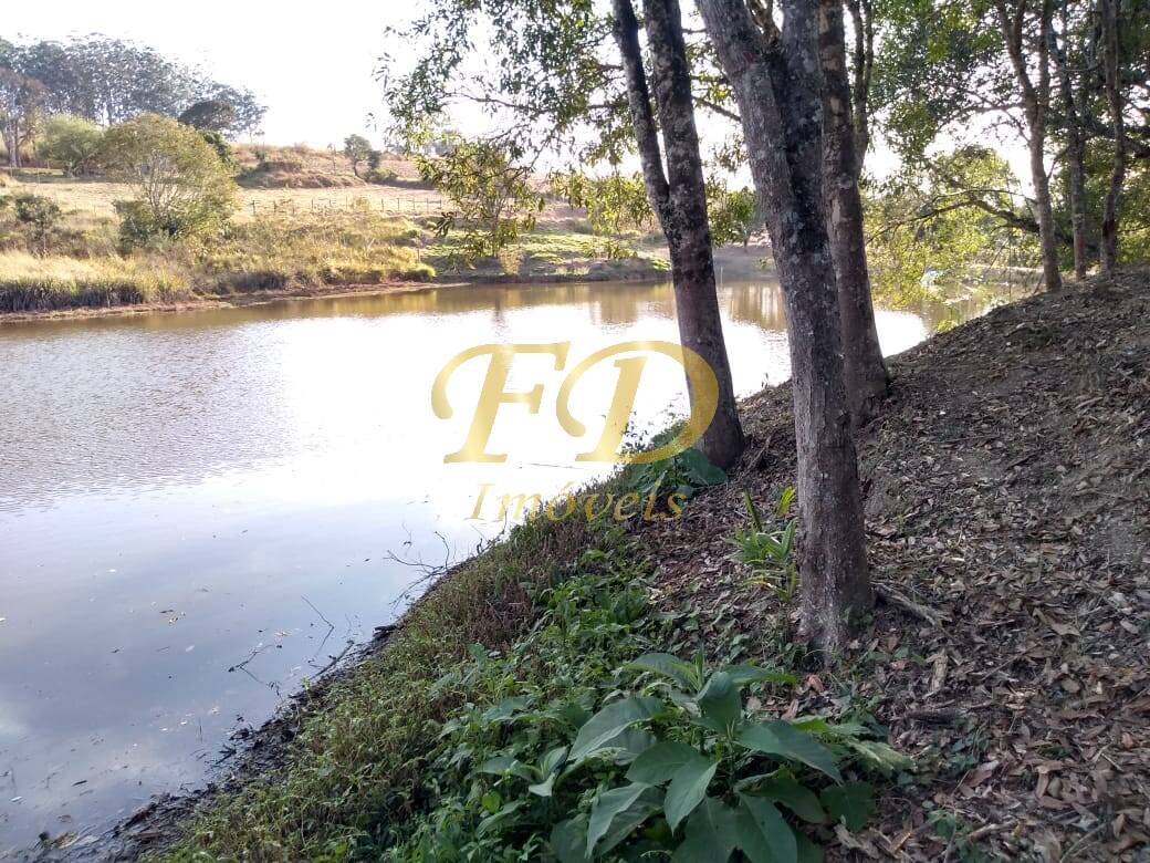 Fazenda à venda com 6 quartos, 800m² - Foto 5