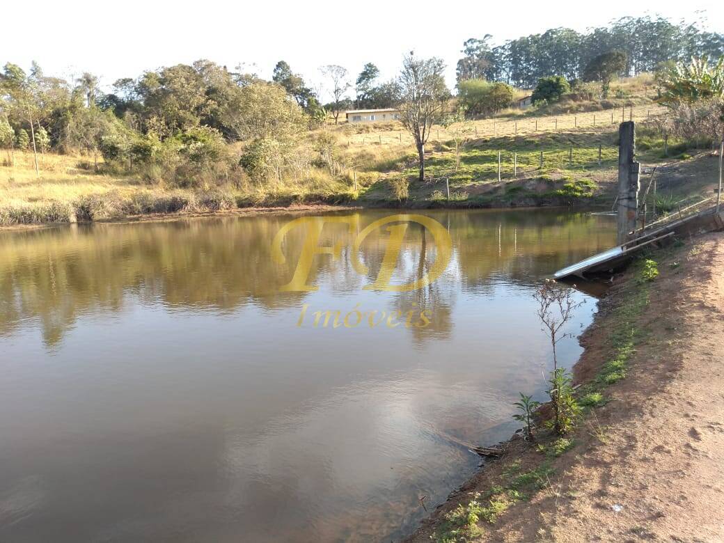 Fazenda à venda com 6 quartos, 800m² - Foto 9