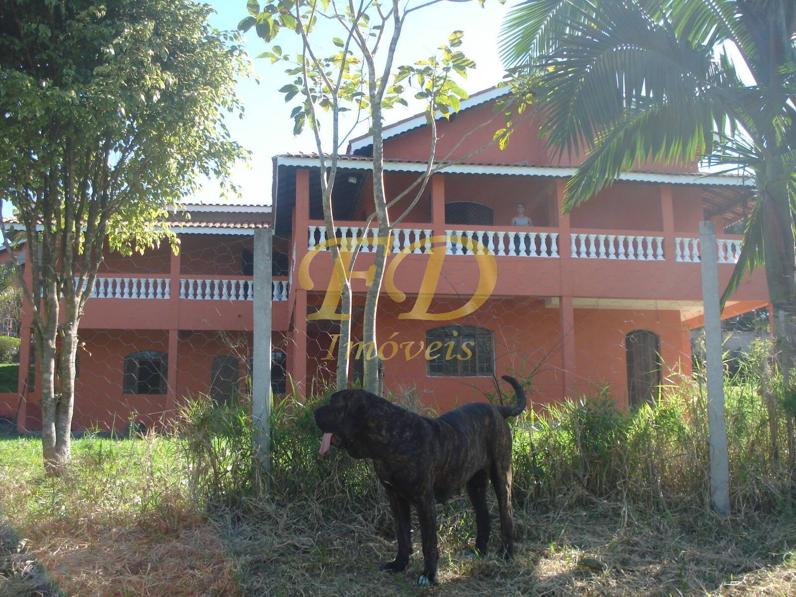 Fazenda à venda com 5 quartos, 650m² - Foto 2