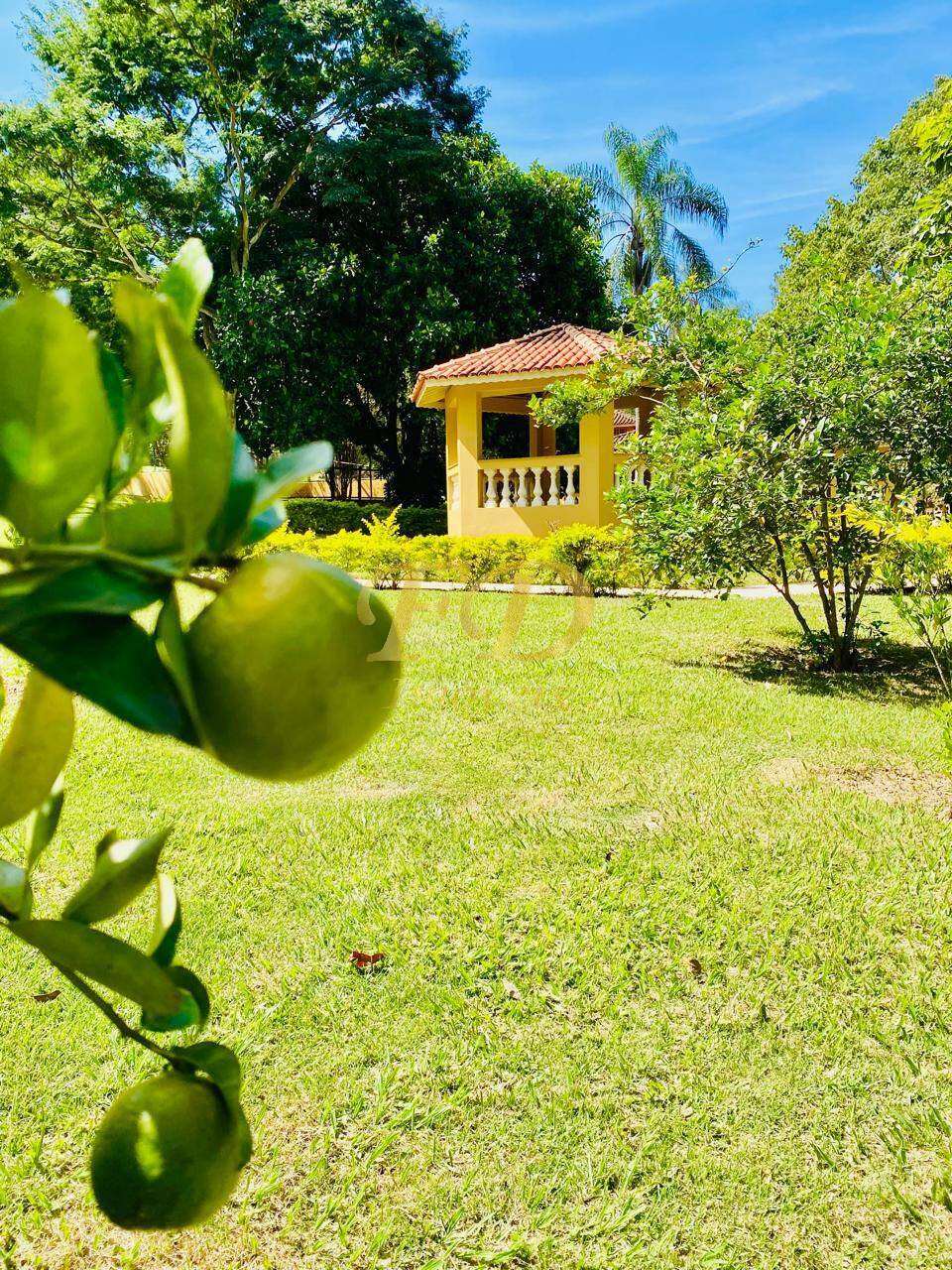 Terreno à venda, 3000m² - Foto 3