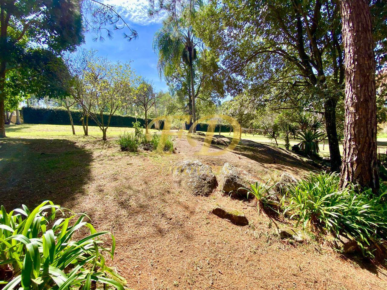 Terreno à venda, 3000m² - Foto 34