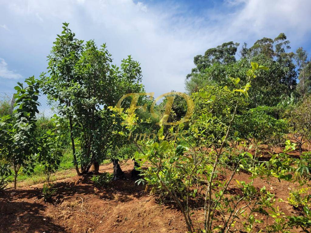 Fazenda à venda com 4 quartos, 90m² - Foto 3