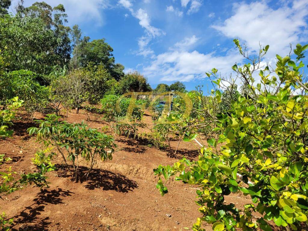 Fazenda à venda com 4 quartos, 90m² - Foto 8