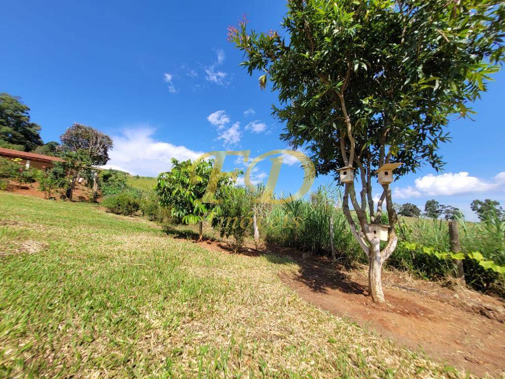 Fazenda à venda com 4 quartos, 90m² - Foto 5