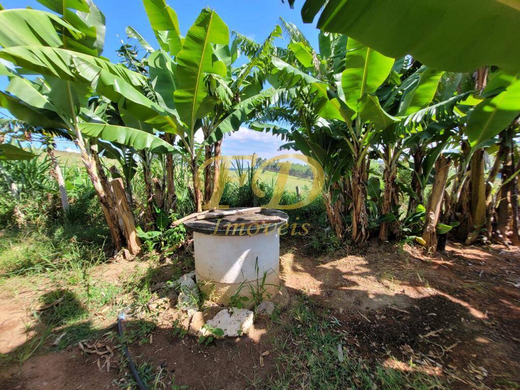 Fazenda à venda com 4 quartos, 90m² - Foto 15