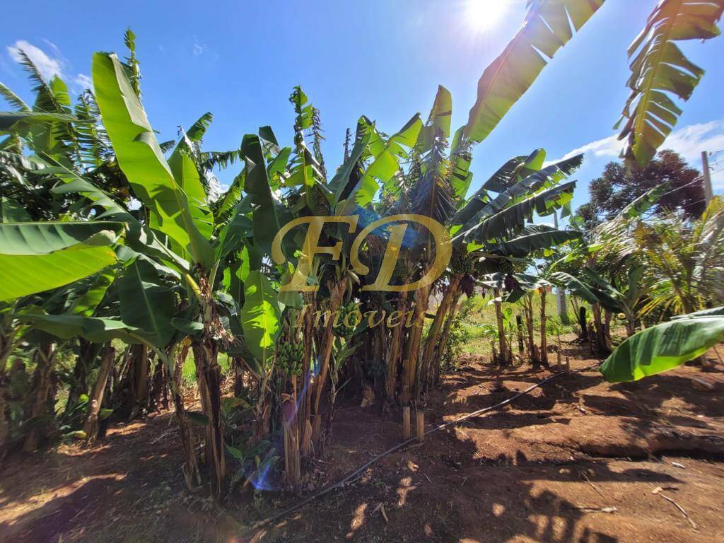 Fazenda à venda com 4 quartos, 90m² - Foto 14