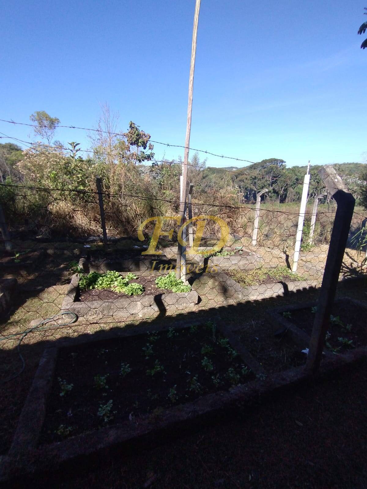 Fazenda à venda com 7 quartos, 350m² - Foto 3