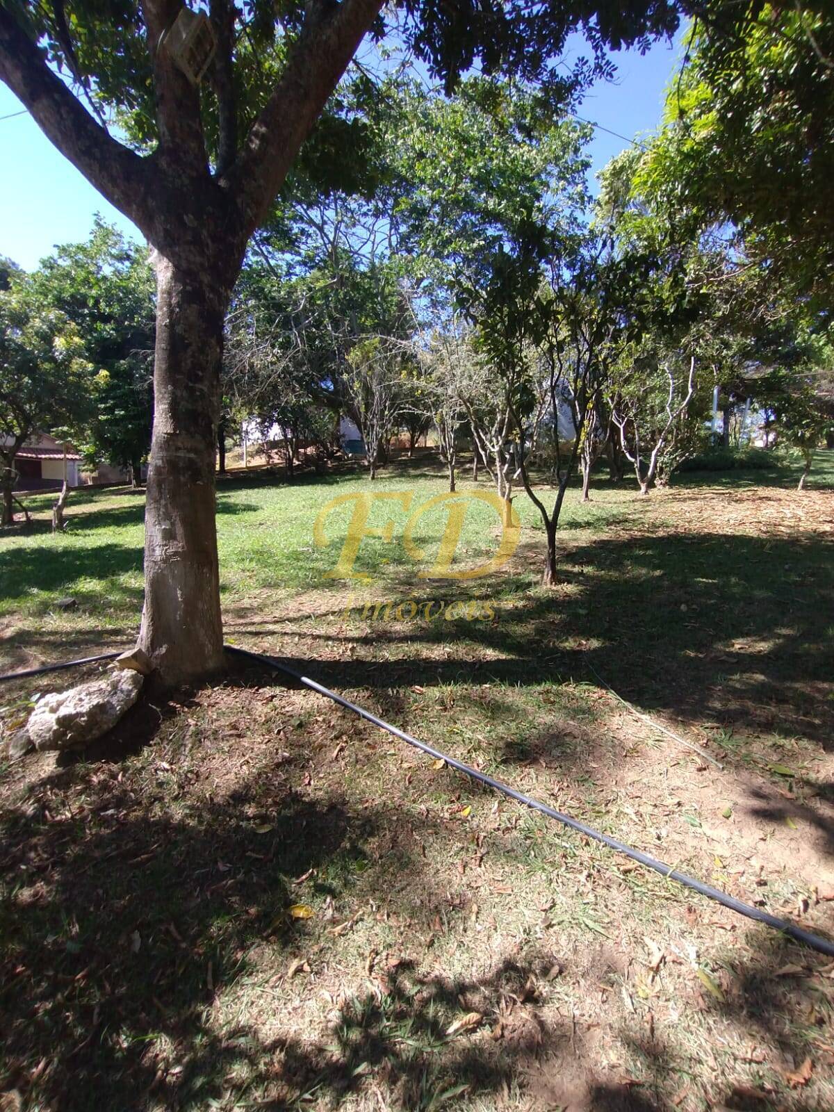 Fazenda à venda com 7 quartos, 350m² - Foto 5