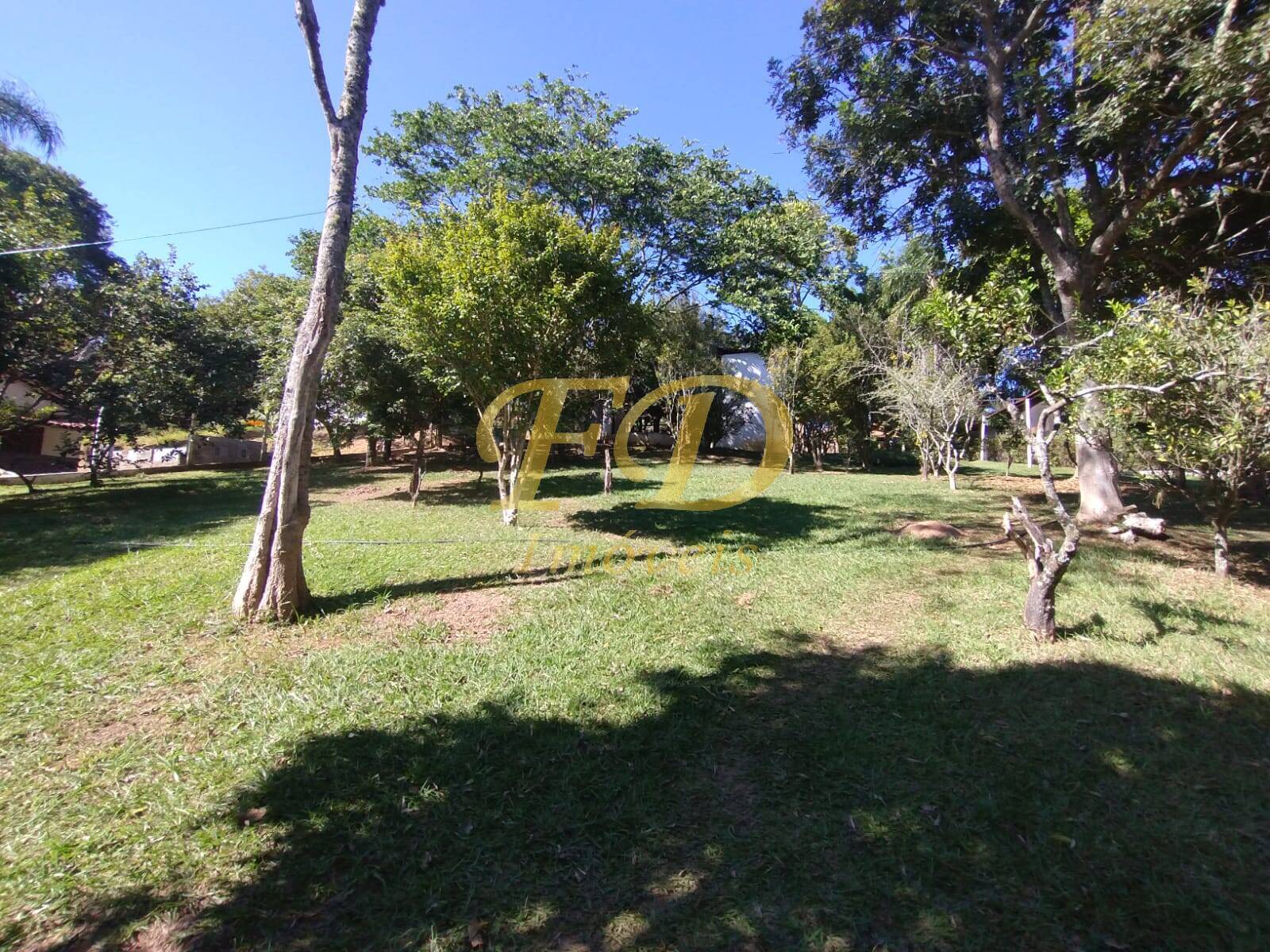 Fazenda à venda com 7 quartos, 350m² - Foto 13