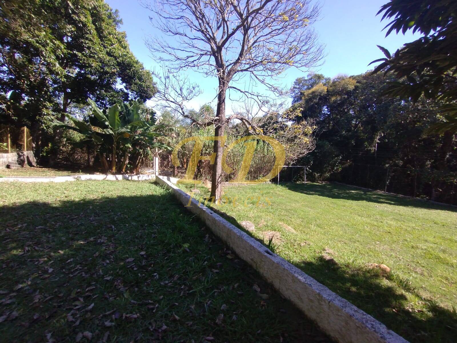 Fazenda à venda com 7 quartos, 350m² - Foto 14