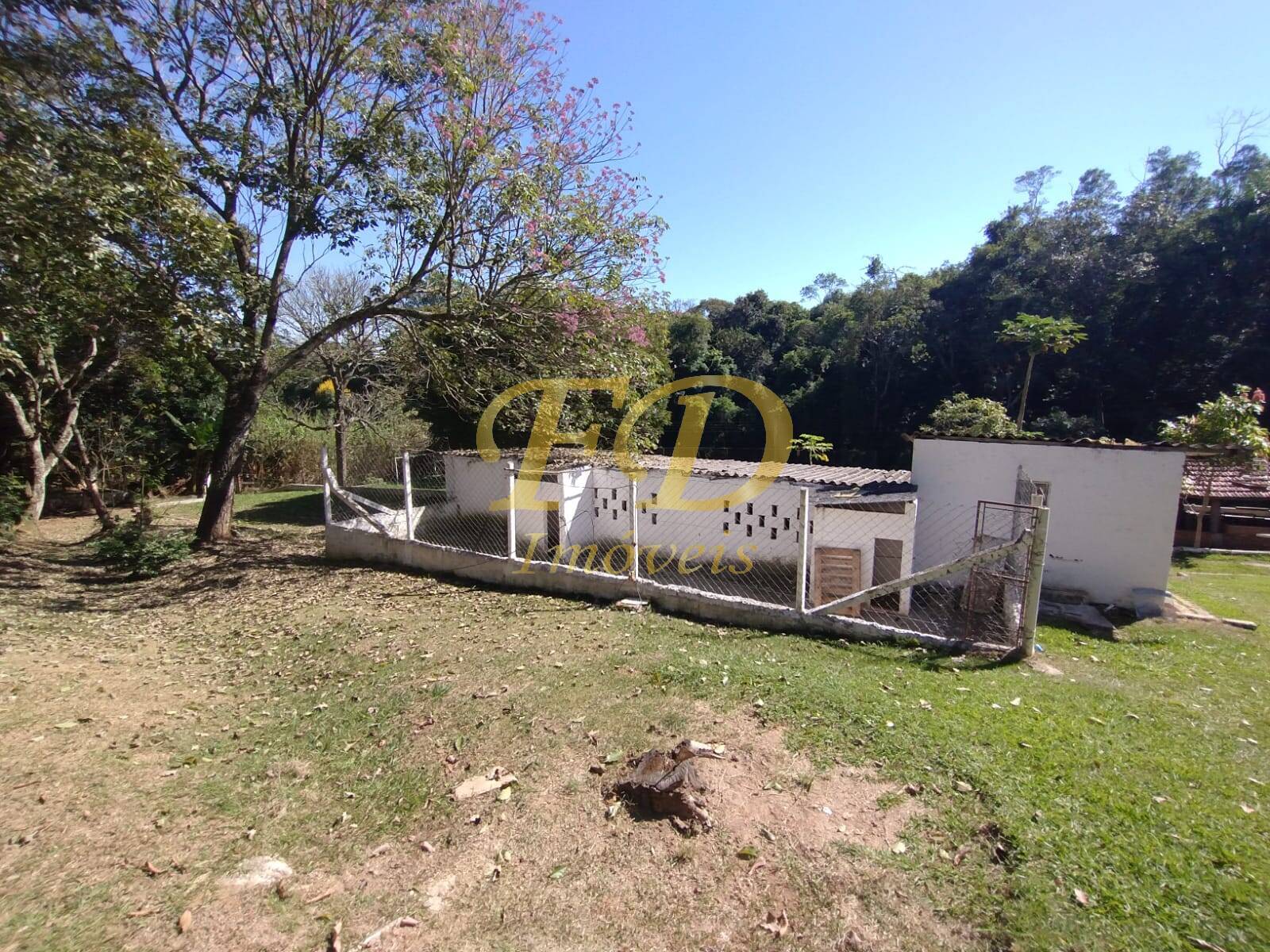 Fazenda à venda com 7 quartos, 350m² - Foto 15