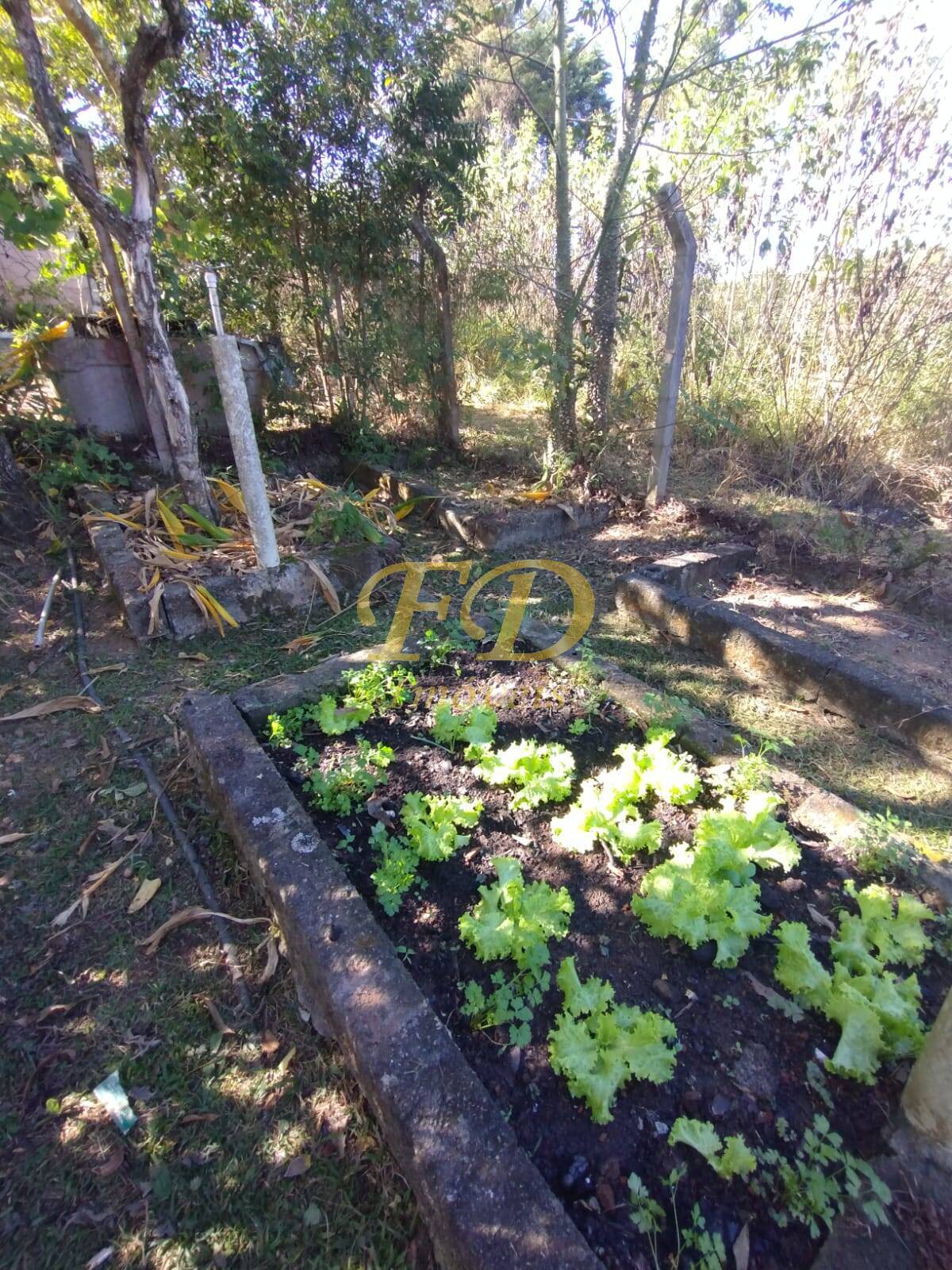 Fazenda à venda com 7 quartos, 350m² - Foto 65