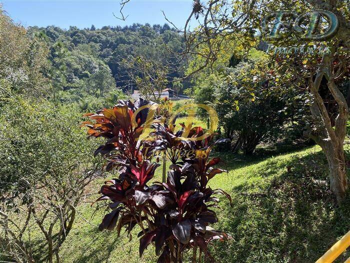 Fazenda à venda com 20 quartos, 61500m² - Foto 20