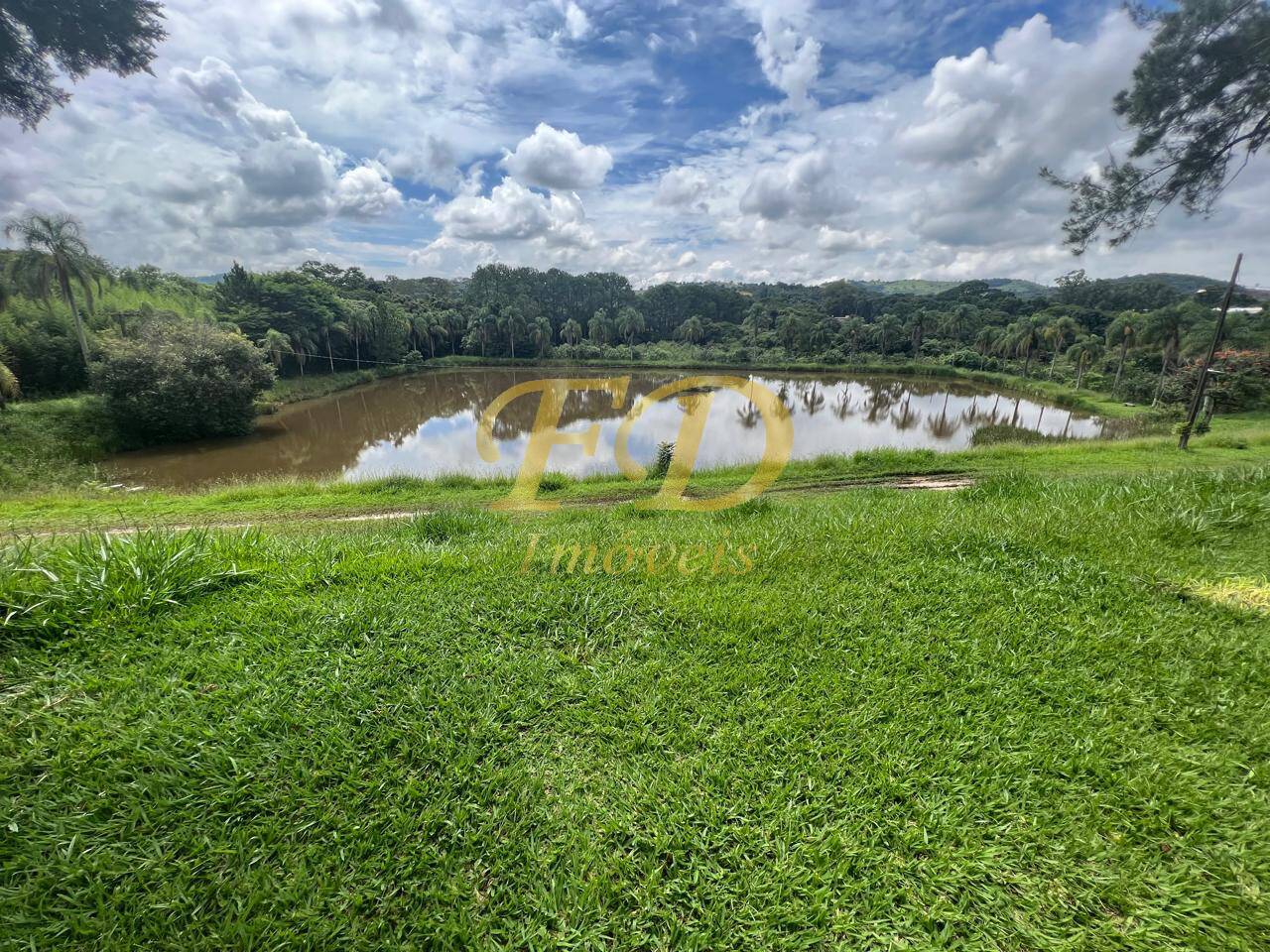 Fazenda à venda com 3 quartos, 330000m² - Foto 16