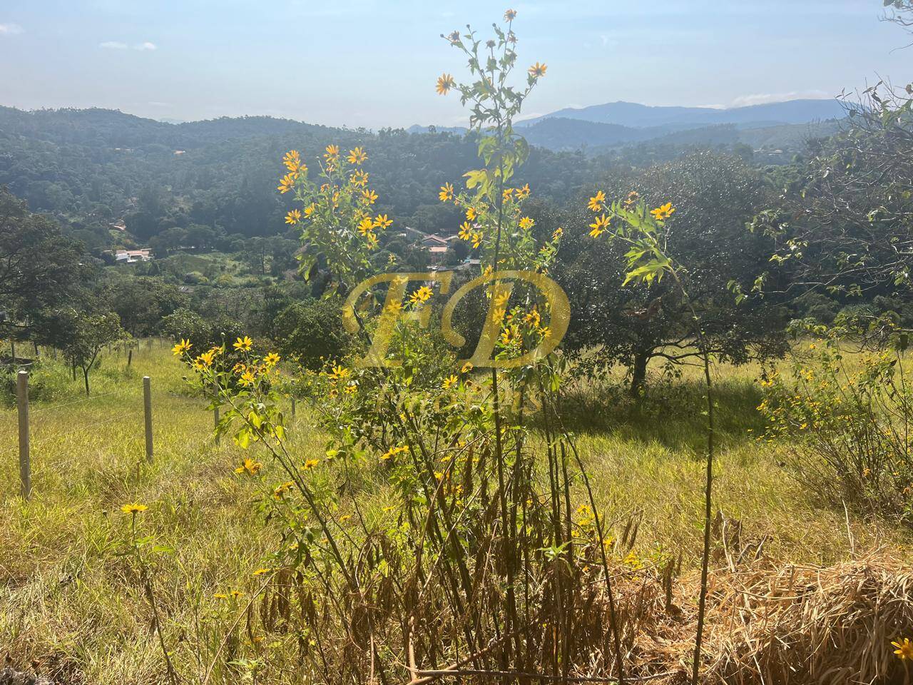 Terreno à venda, 1600m² - Foto 6