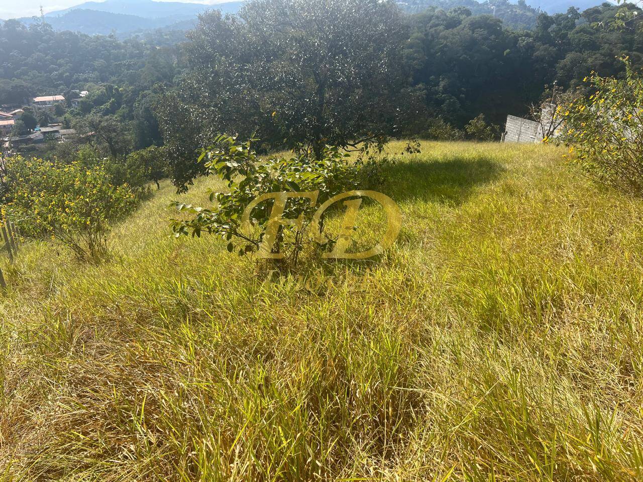 Terreno à venda, 1600m² - Foto 9