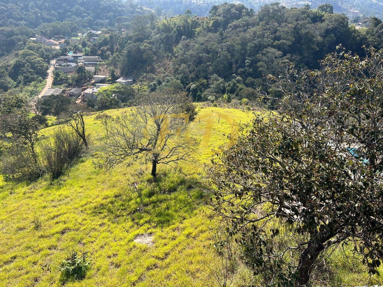 Terreno à venda, 1600m² - Foto 15