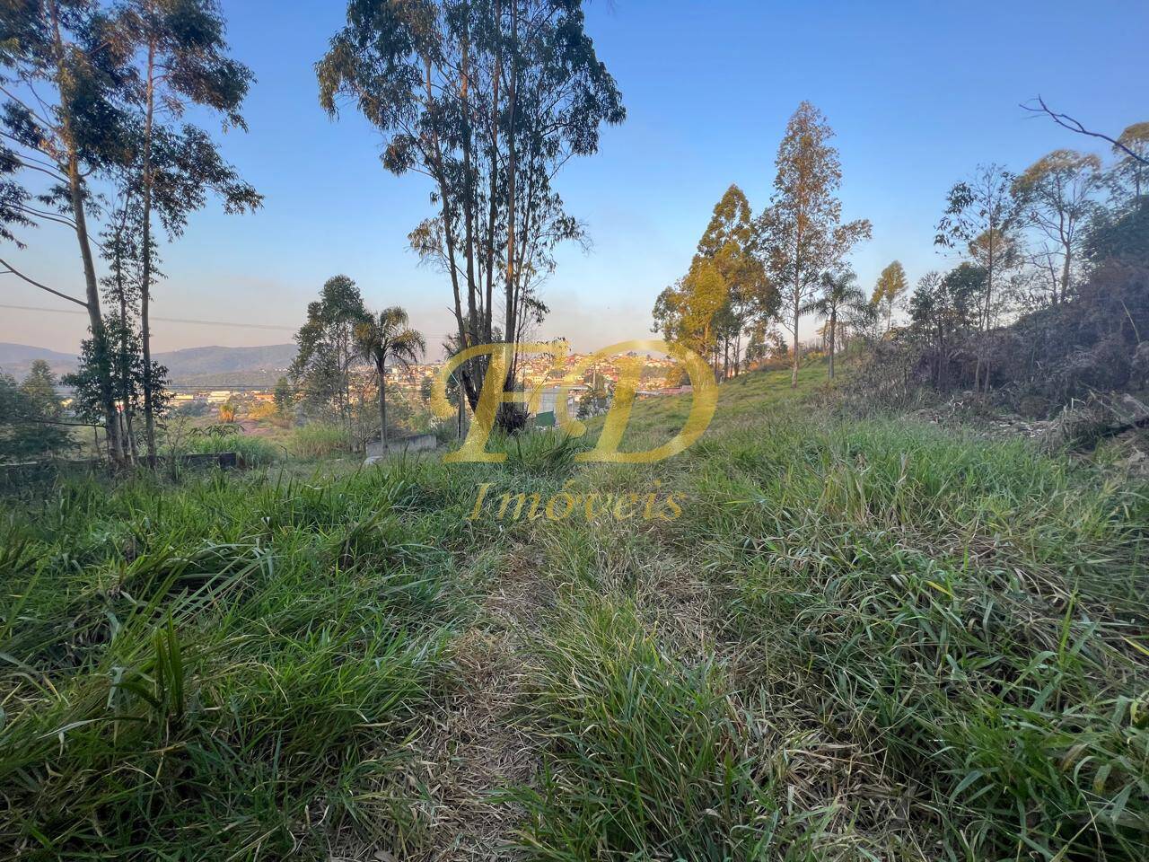 Terreno à venda, 7000m² - Foto 10