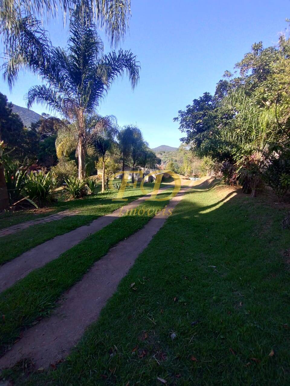 Fazenda à venda com 3 quartos, 300m² - Foto 3