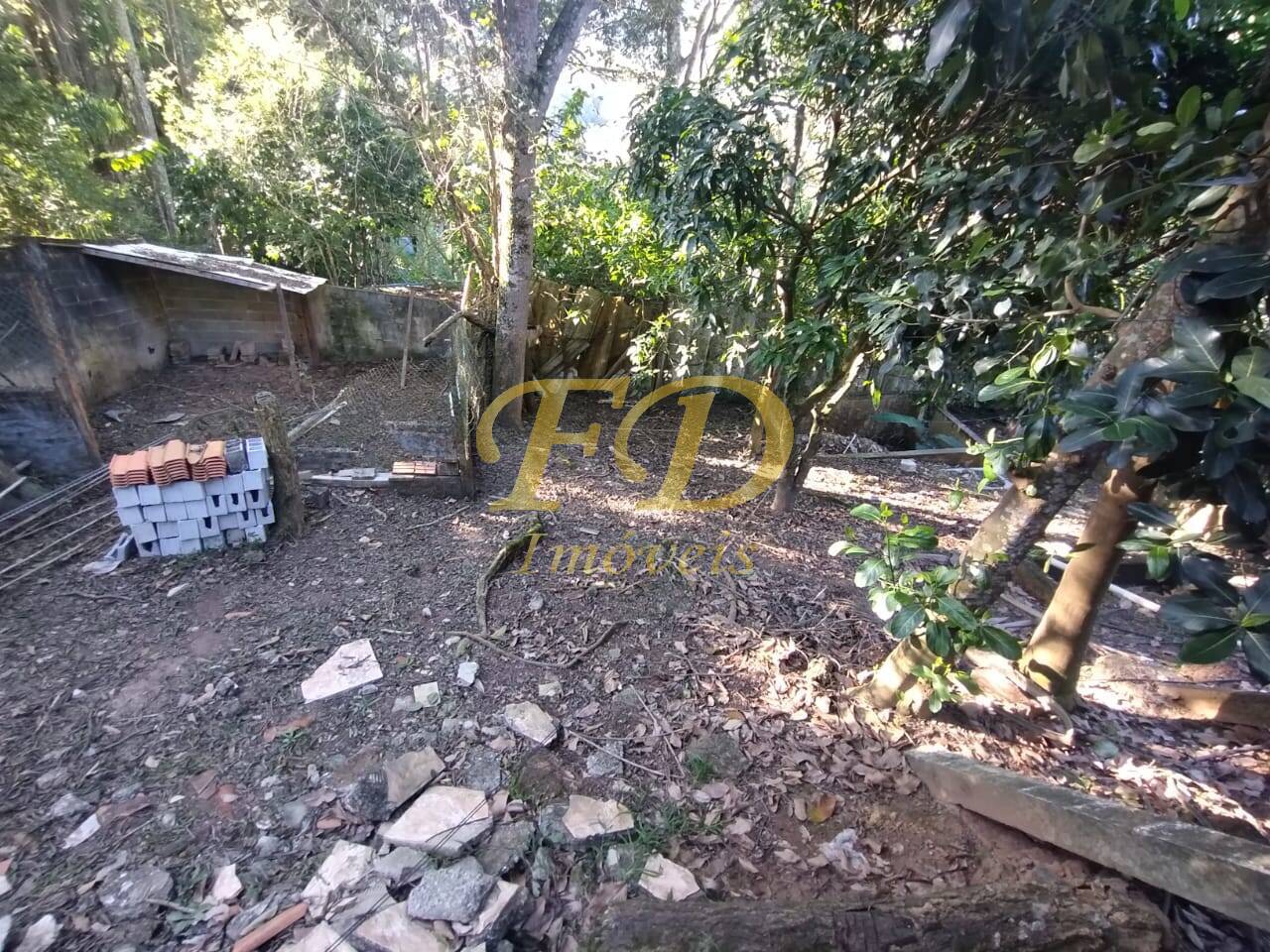 Fazenda à venda com 3 quartos, 300m² - Foto 14