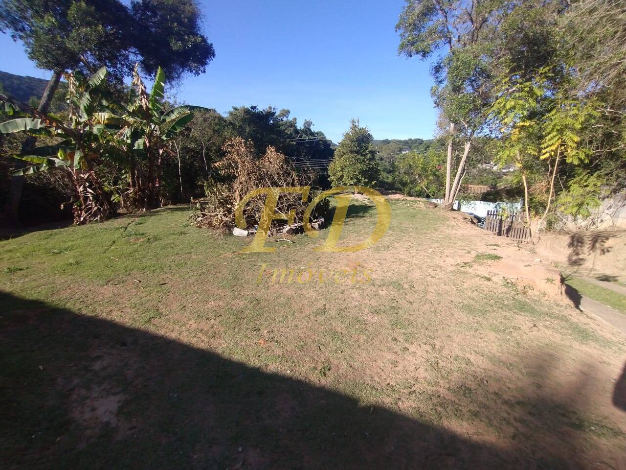 Fazenda à venda com 3 quartos, 300m² - Foto 50