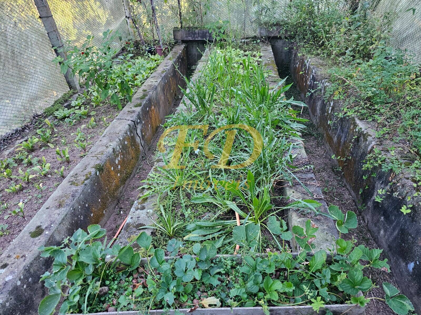 Fazenda à venda com 4 quartos, 350m² - Foto 11