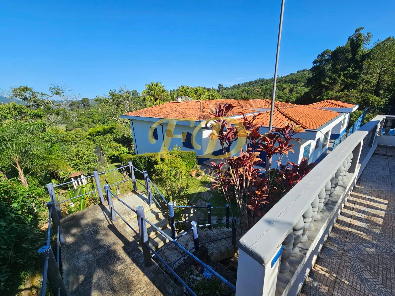 Fazenda à venda com 4 quartos, 350m² - Foto 20